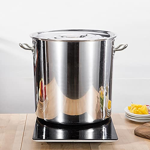 MEELRYD - Olla grande de acero inoxidable con tapa, olla de inducción, olla de acero inoxidable para todo tipo de cocinas, 70 l