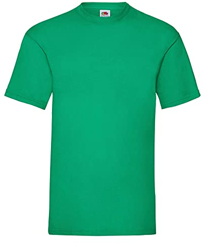 Fruit of the Loom Men's Short-Sleeved T-Shirt - Green - Medium