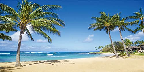 Renaiss 4.5x2.5m Sommer Strand Hintergrund Tropischer Ozean Sandstrand Palmen Fotografie Hintergrund Kinder Erwachsene Urlaub Reisen Flitterwochen Vinyl Photo Booth Shoot Studio Requisiten