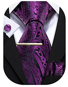 Barry.Wang Herren Krawatte Einfarbig Paisley Uni Schlips Satin Mit Einstecktuch Hochzeit Krawattenset