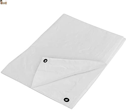 BricoLoco.com Toldo Lona Impermeable Blanco Multiuso Exterior. 5x12 MTS. 110 grs. ¡¡Reforzado!! Cubretodo cobertor leña, Remolque, Piscina, Mueble jardín. (110 grs. Blanco, 5x12 MTS.)