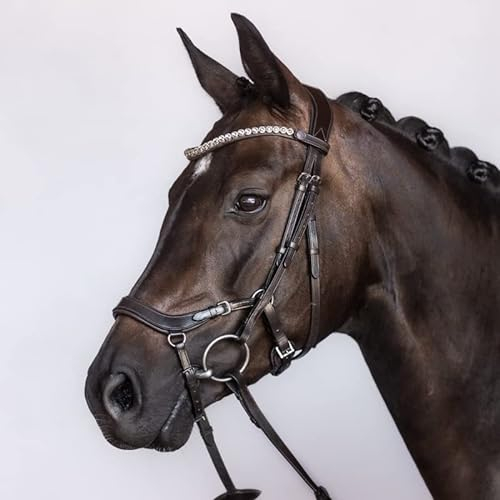 BRIDLERY Trense Outline Farbe Braun, Größe Vollblut