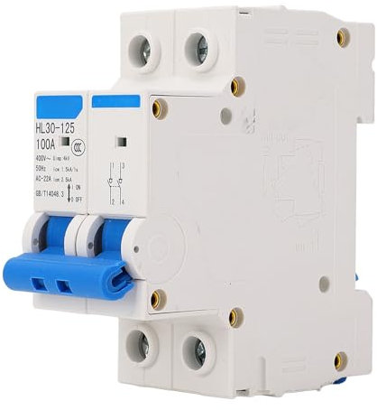 Miniatur Leistungsschalter, 2P Trennschalter, 100A 400V Sicherheitsschutz Kleiner Luftschalter, Hutschiene Auslaufschutz Isolator Überlastschutz Fehlerstromschutzschalter DIN Schienenmontage