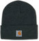 Carhartt Winter-Hut CB8905