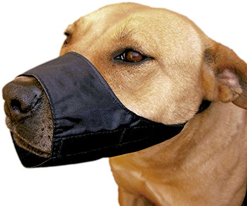 ICA xt-Dog db935 Halfter Nylon verstellbar für die Rasse Dogo