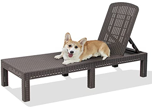 RAPTAVIS Chaise longue d'extérieur, chaise longue de piscine, chaises longues imperméables, moka