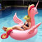 Anneau de Bain Jouets de Piscine gonflables 2019 été Nouveau Adulte Licorne Rose Flottant rangée Jouet Gonflable Flamant Rose Cygne Ananas lit Flottant Anneau de Natation