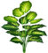 AIVORIUY Kunstpflanzen Zimmerpflanze Palme Baum Monstera Blatt Real Touch Kunst Seidenblumen Tropisch Pflanze Grün Künstliche Pflanzen Groß Dekopflanze Grünpflanze Büropflanze Plastik Pflanze Deko