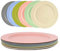 Greentainer 6 pcs Assiettes plates robustes en PP sain, 25,4 cm Grandes assiettes à salade dessert petit-déjeuner Assiettes de fête pour adultes | Passe au micro-ondes et au lave-vaisselle, sans BPA