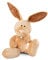 NICI Kuscheltier Hase Ralf Rabbit 50 cm – Stofftier aus weichem Plüsch, niedliches Plüschtier zum Kuscheln und Spielen, für Kinder & Erwachsene, 48596, tolle Geschenkidee, beige