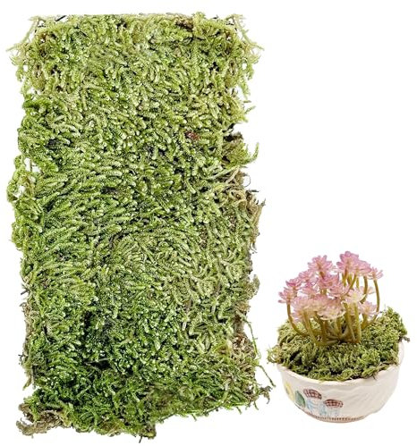 Cayway Paesaggi Ciuffi D'Erba Modello, Muschio Artificiale, Muschio Verde Finto, Muschio Verde Artificiale per La Ferrovia Del Paesaggio Del Treno (Style C)