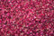 1000Kräuter Rosenblüten rot Rosenblütenblätter Essblüten Teeblüten Rosenblütentee Dekoblüten Hochzeit essbare Blüten (200g)