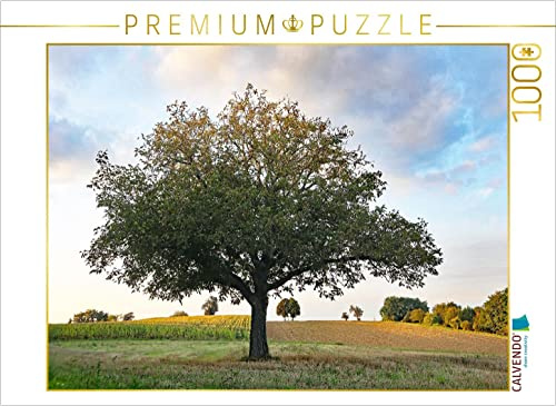 CALVENDO Puzzle Nussbaum im September | 1000 Teile Lege-Größe 64 x 48 cm Foto-Puzzle für glückliche Stunden