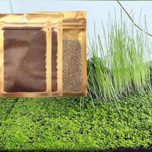 ZUQOVI Confezione da 3 semi di piante vive per acquario e acquario, decorazione per piante acquatiche d'acqua dolce erba nana mini foglia pelosa erba per capelli zmml4 22
