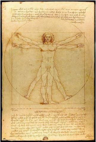 empireposter Leonardo da Vinci - Hombre de Vitruvio - Poster Kunstposter Druck - 61x91,5 cm