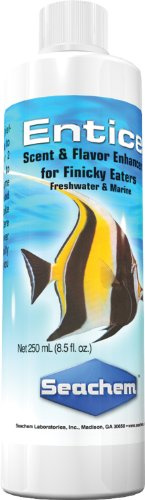 Seachem Entice Food Enhancer