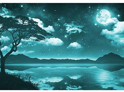 Runa Art Papier Peint panoramique Ciel Lune Nuit 352 x 250 cm Toison Mur XXL Moderne Décoration Murale Salon Chambre á Coucherr Bureau Salle turquoise 9341011b