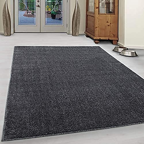 Ayyildiz Teppich-Teppich Modern Designer einfarbig kurzflor, Polypropylen, Grau, 60 X 100