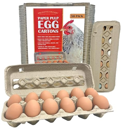 Paper Pulp Egg Cartons - 50 Pack