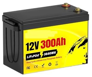Batterie Au Lithium Rechargeable De Batterie De 12.8V 300Ah LiFePO4 Avec 200A BMS 4000-15000 Batterie De Phosphate De Fer De Lithium De Cycles Profonds(12V 10Ah)