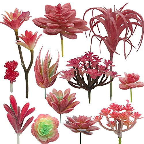 Cayway 12 Stück Künstliche Sukkulenten Rot Unfotted Faux Blume Sukkulenten Sukkulenten Künstlich Gemischt für Zuhause Indoor Fairy Garden Dekorationen