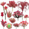 Cayway 12 PCS Artificielles Plantes Succulentes Rouge Succulentes Artificielles Succulentes Artificielles Décoratives pour La Maison Jardin Intérieur Décoration