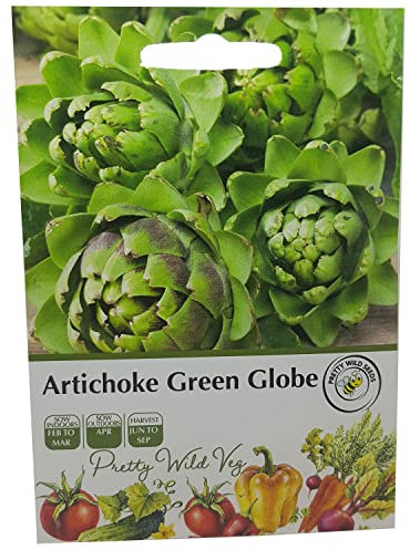 Artichoke Green Globe Seeds in Pictorial Packet from a UK Seller Unusual Perennial High Value Crop Species