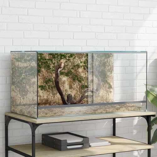 INLIFE Terrarium avec Stockage Transparent 80 x 40 x 40 cm Verre