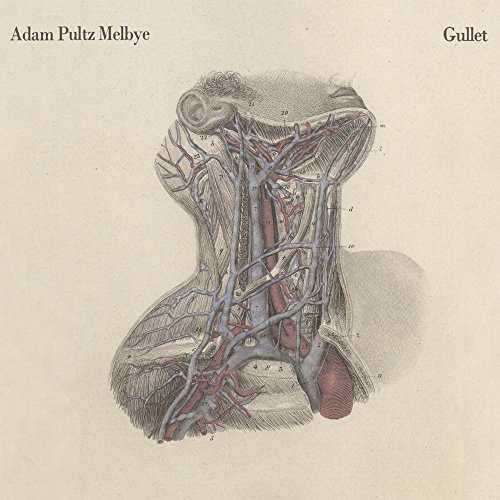 Gullet