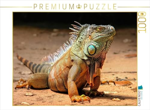 CALVENDO Puzzle Wunderschöner Leguan | 1000 Teile Lege-Größe 64 x 48 cm Foto-Puzzle für glückliche Stunden