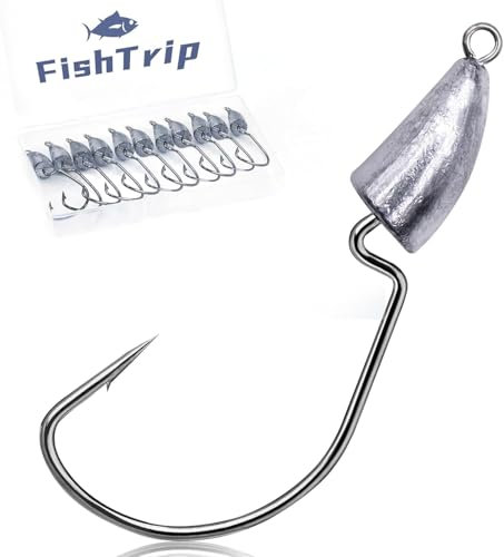 Bullet Jig Head Weighted Hooks, Texas Rigs EWG Offset Hooks for Bass Fishing Saltwater 1/16 1/12 1/8 1/6 1/4 1/3 1/2 oz