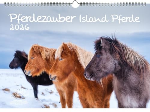 Pferdezauber Island Pferde DIN A3 Kalender für 2026 Pferde und Fohlen - Set: 1x Kalender 1x Weihnachtsanhänger 1x Grußanhänger (gesamt 3 Teile)