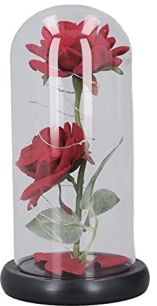 CHEOTIME Rosenblüten-Geschenke für Frauen, Valentinstag, Geburtstagsgeschenk, Galaxie, leuchtende Rosen im Glas, leuchtende künstliche Blumen mit kuppelförmiger Glasabdeckung, dekorativ