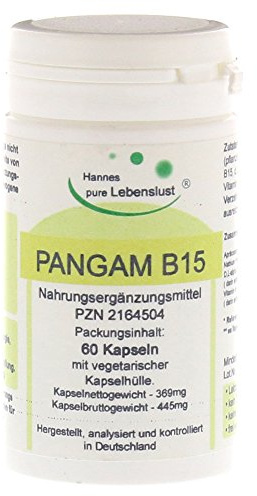 Pangam Vitamin B15 Kapseln
