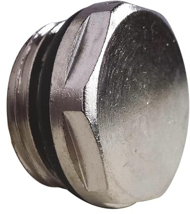 SOMATHERM FOR YOU, Bouchon de radiateur M15/21 autoétanche avec joint torique intégré, s'adapte à tous les orifices, idéal pour eau chaude et froide, couleur gris/argent
