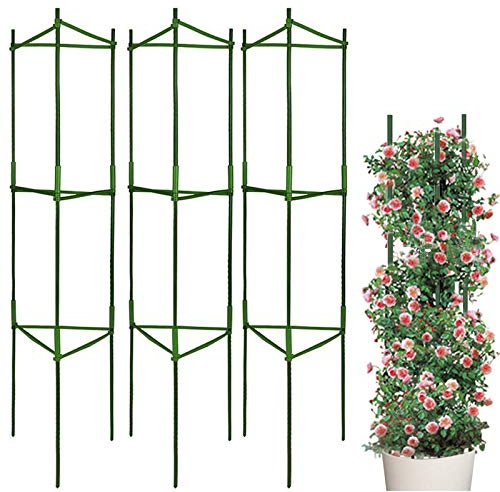 LIBRNTY 3pcsPlantes de Support,Cage à tomates,Stable Support de Plante de Tomate,Jardin Treillis Fleur Support en Acier Inoxydable Grimper légumes & Fleurs et Fruits Grow Cage,avec bielle