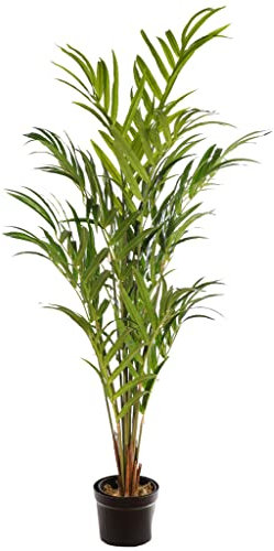 SMPLY. Planta Artificial Palmera Kentia de Plástico - Ideal para la Decoración del Hogar para Exterior e Interior - Resistente a los Rayos UV - Tamaño 160 cm