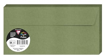 Clairefontaine 5075C - Packung mit 20 Umschlägen Pollen DL 11x22 cm, 120g/m2, ideal für Ihre Einladungen und Korrespondenz, Salbei, 1 Pack