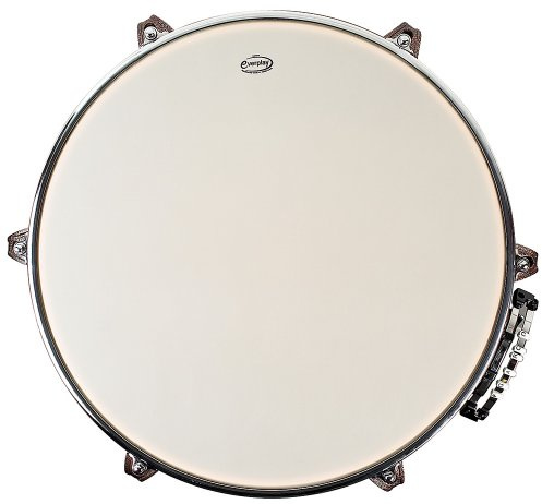 Remo Timpani Head Milky – Without Insert Ring – 29″ – TI-2900-00