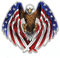 Sticker-Designs 15cm! Aufkleber-Folie Wetterfest Made IN Germany Amerika Eagle Seeadler Adler US USA Fahne Wappen B145 Jahre haltbar UV&Waschanlagenfest Auto-Vinyl-Sticker Decal ProfiQualität