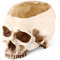 Schädelförmiger Blumentopf, Schädel Blumentopf, Halloween Totenkopf Menschlicher Schädel Pflanzgefäßbehälter Für Hauptbüro Schreibtischdekoration, Halloween Dekorationen