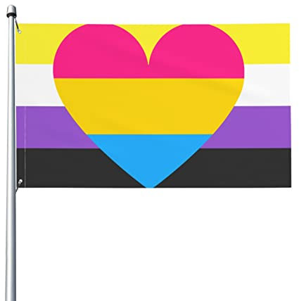 Nonbinary Genderqueer Non Binary Pansexual Pride Flag Welcome Party Outdoor Decorations Picks Home House Garden Yard Decor 3 X 5 Ft Large Flag