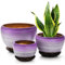 SOUJOY 3er-Set Keramik-Blumentöpfe, Gartenpflanztopf mit Drainagelöchern und Untersetzer, 1,2 cm, lila, rund, Sukkulenten, Kräuter, Kaktus, Übertopf für drinnen und draußen