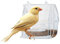Ferplast 84522724 Futternapf Pretty 4552 für Vögel, Maße: 9 x 9 x 9 cm, transparent