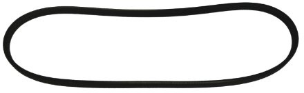 QH QBR3663 Drive Belt