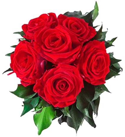 Rosemarie Schulz Blumenstrauss konserviert mit 6 Rosen (Rot)