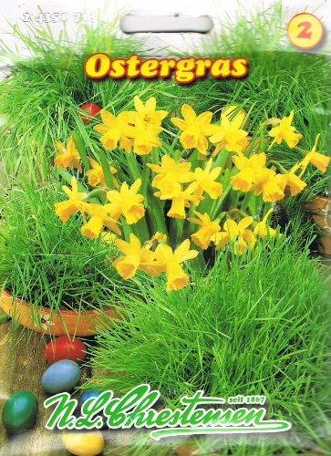 Chrestensen Ostergras für ca. 25 Schalen Samen Gras Saatmischung