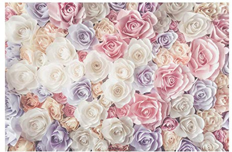 Apalis Vliestapete Pastell Paper Art Rosen, HxB: 290cm x 432cm