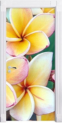 Stil.Zeit Möbel Monoi Blüten auf Hawaii als Türtapete, Format: 200x90cm, Türbild, Türaufkleber, Tür Deko, Türsticker