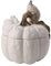 Widdop and Co. - Country Living - White Glazed Ceramic Hedgehog Storage Pot. Home Decor Gifting Decorative Kitchen & Dinner Parties + Animal & Nature Lovers - H: 18 x W: 15 x D: 15 cms.